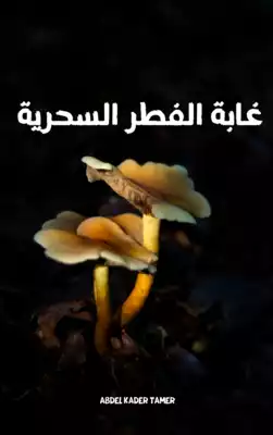 قصة غابة الفطر السحرية  ارض الكتب